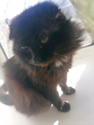 Что то с телефоном