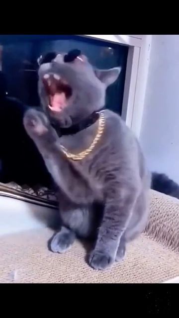 Когда она пьяная пришла из караоке-бара