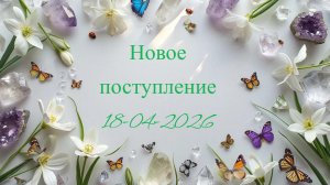 Новое поступление 18-04-2026