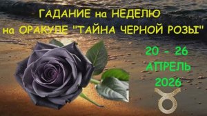 ТЕЛЕЦ: ГАДАНИЕ на НЕДЕЛЮ с 20 по 26 АПРЕЛЯ 2026 года на Оракуле "ТАЙНА ЧЕРНОЙ РОЗЫ"!!!