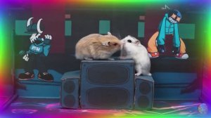 Умный хомяк разгадывает самый сложный лабиринт! часть 7