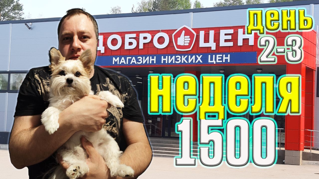 Неделя на магазине Доброцен 1500 рублей. День 2-3.
