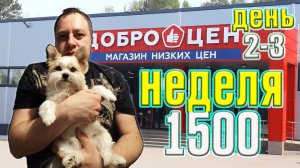 Неделя на магазине Доброцен 1500 рублей. День 2-3.