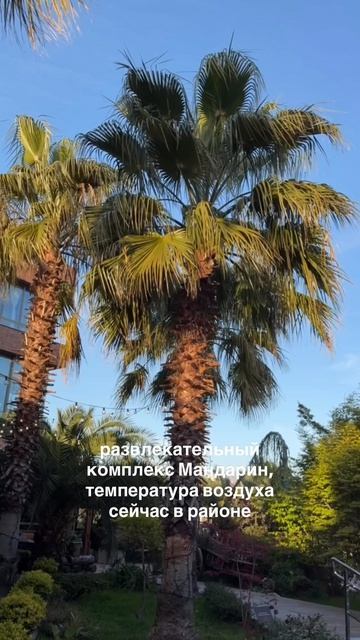 Сочи, 16 апреля 2026, Адлерский район, Адлер, пляж Мандарин, погода сегодня, Чёрное море, весна