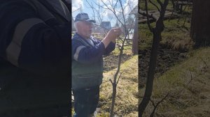 Для Дачников.