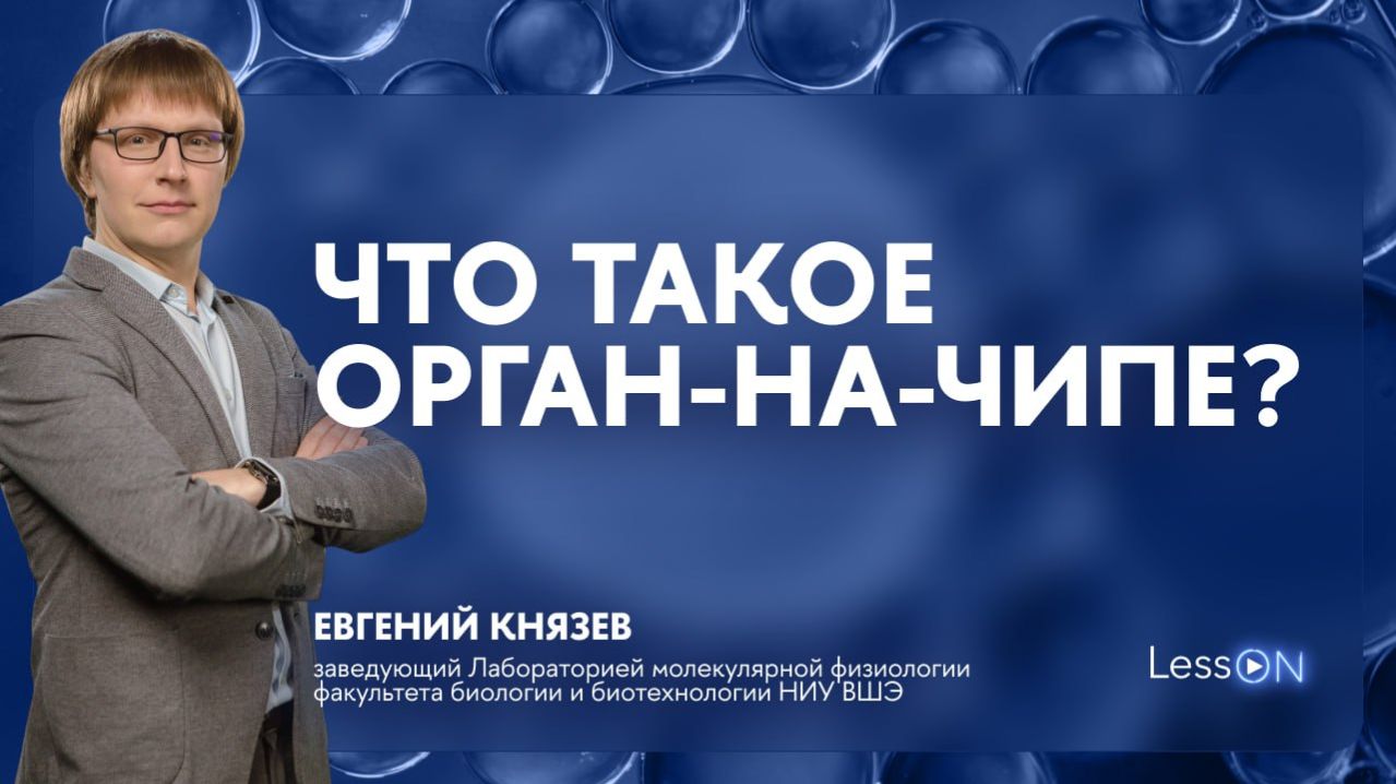 LessON: Что такое орган-на-чипе?