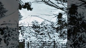 АВМ-СССР 2026 Ситуация.mp4