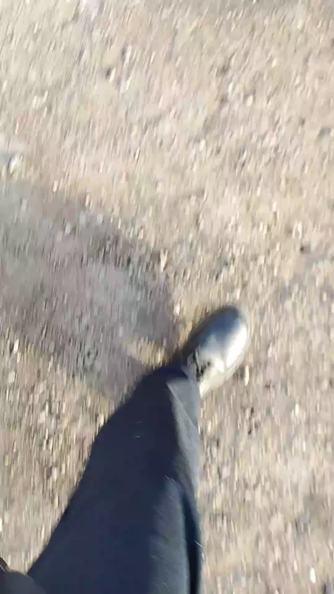 влок в школу