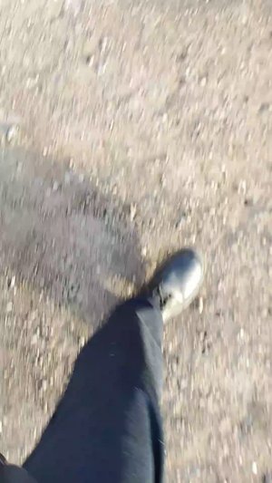 влок в школу