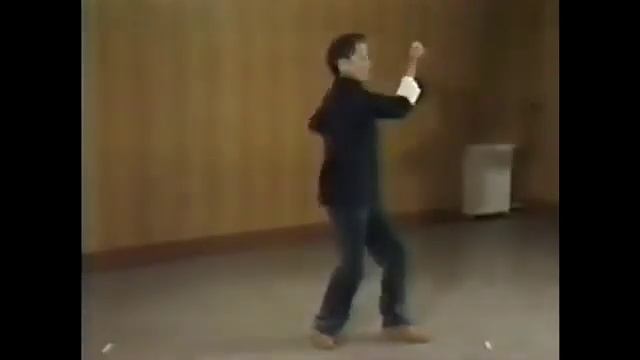 Оригинальное Вин Чун  Искусство эффективности и плавности