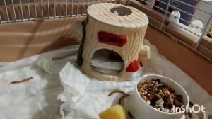 Метруся. 16.04.2026.