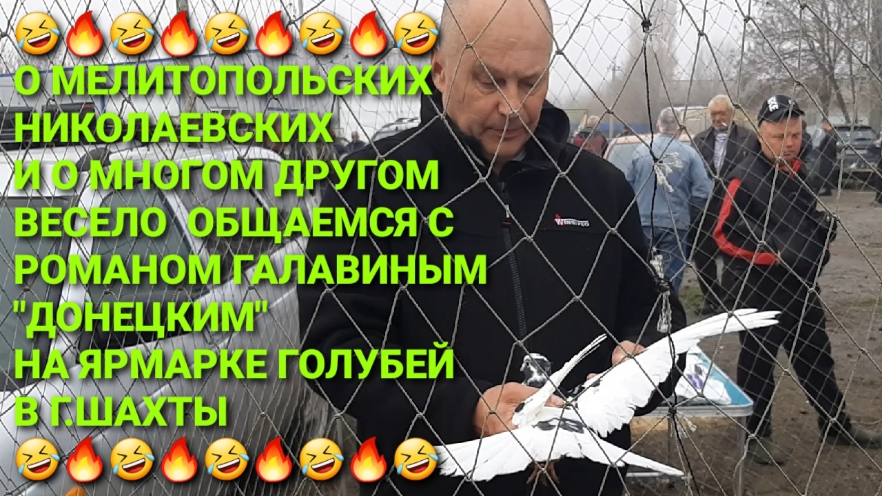 🤣🔥🤣 О мелитопльских, николаевских и других общаемся  с Романом Галавиным на ярмарке голубей.