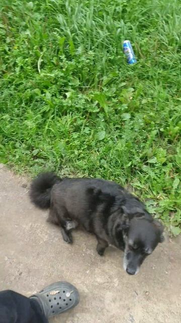 26 августа 2024 г.