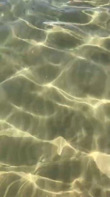 Чистое море в октябре с красивыми рыбками  Отель LONICERA 5* Турция   2019