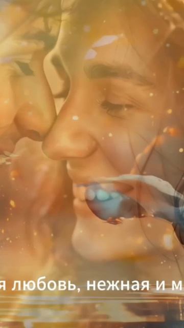 Моя любимая жена