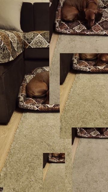 Собственный диван - это круто