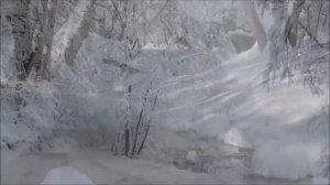 Arvo Pärt Silentium