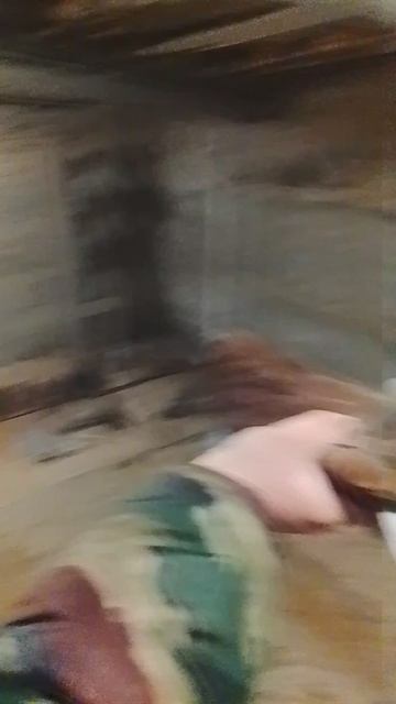 николаевские голуби