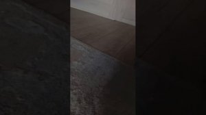 моё первое видео