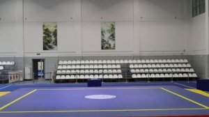 «МОСКОВСКИЕ ЗВЕЗДЫ УШУ 2026»