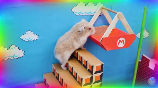 Умный хомяк разгадывает самый сложный лабиринт! часть 2