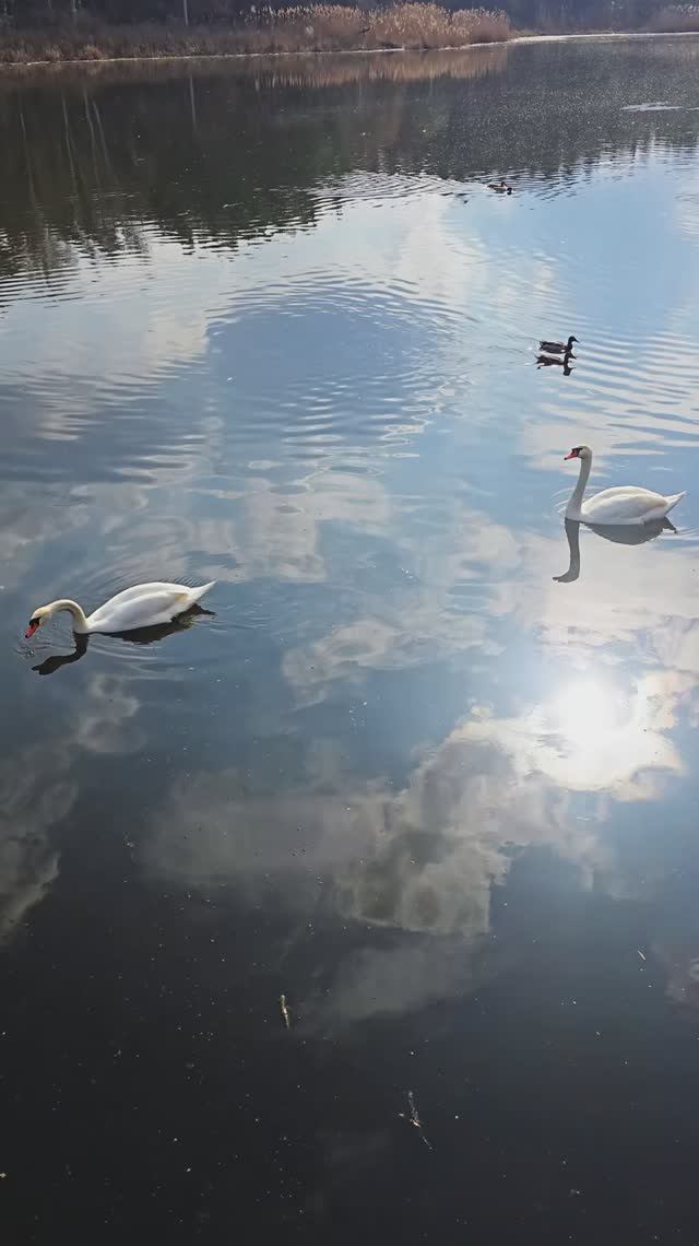 Вечер на реке Северский Донец, Белгород