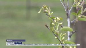 Информационный выпуск Майкопского телевидения 16.04.26