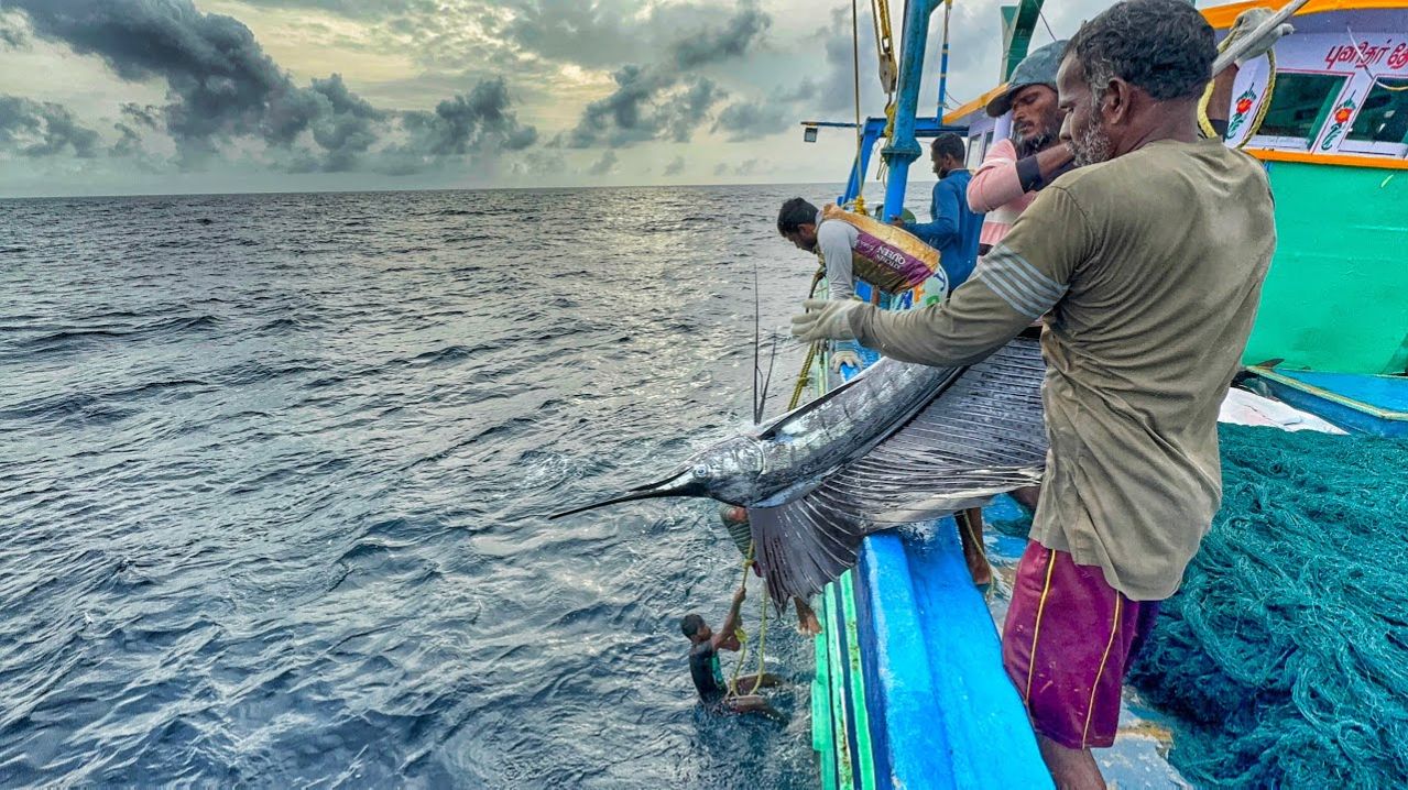 Вау! Мы провели в открытом море уже шестой день и поймали тунца
