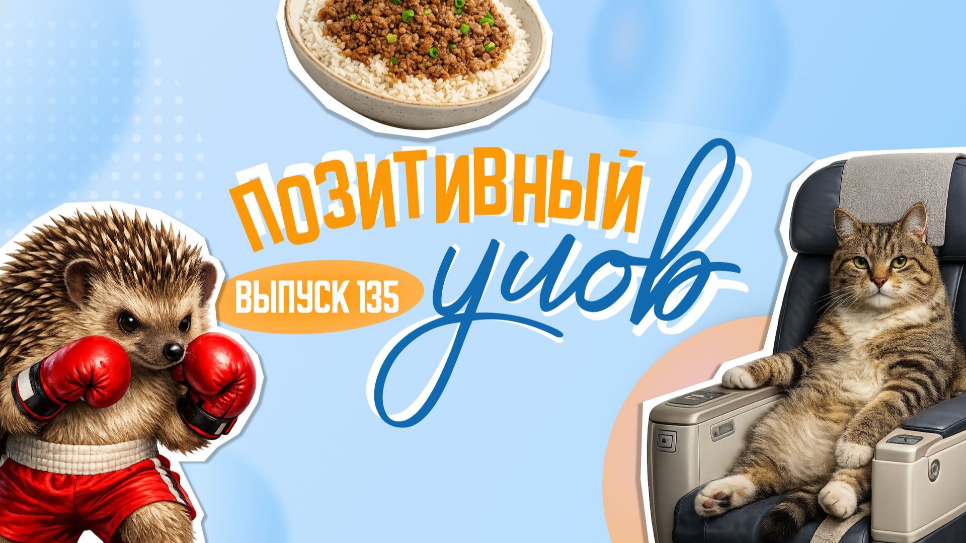 Драка ежиков из Дагестана и мурчащий пассажир самолета. 