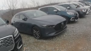 Зеленый угол-что продают на авторынке?Что с ценами?