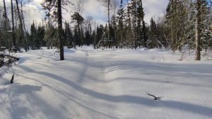 2026.04.17. Крючково. оз Таежное - АЛСИБ1 - просеки 2,1 - выс. 585 м. Снег 100 см, t-13°.