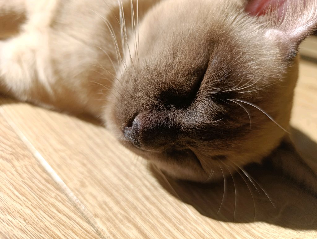 грвм на конкурс в школу!