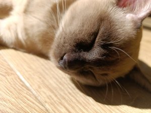 грвм на конкурс в школу!