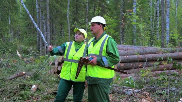 Свеза видео HR