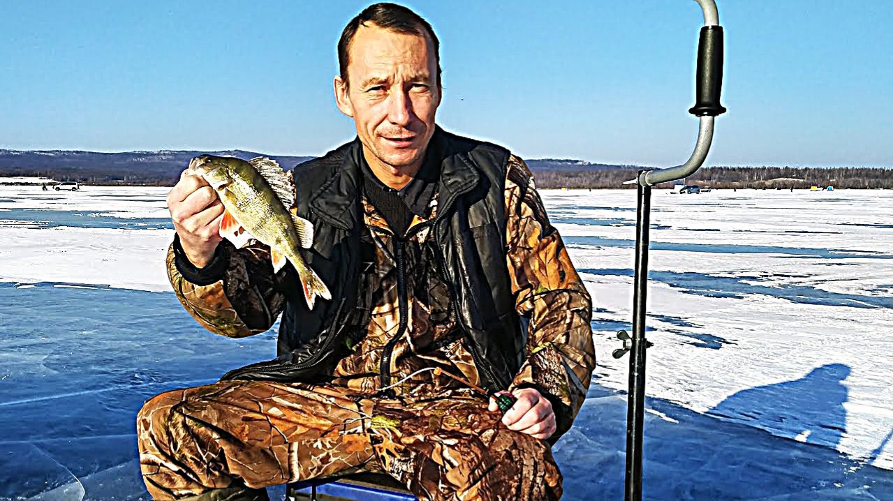 РЫБАЛКА НА КРУПНОГО ОКУНЯ. НА ЧТО ЛОВИТЬ?