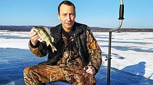 РЫБАЛКА НА КРУПНОГО ОКУНЯ. НА ЧТО ЛОВИТЬ?