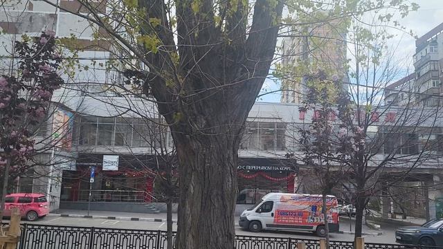 Чудо  - дерево