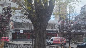 Чудо  - дерево