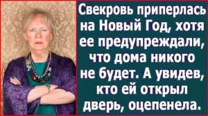 Истории из жизни|Свекровь приперлась на|Аудио рассказы|Аудиокниги слушать онлайн|Жизненные истории
