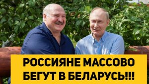 РОССИЯНЕ МАССОВО БЕГУТ В БЕЛАРУСЬ!!!