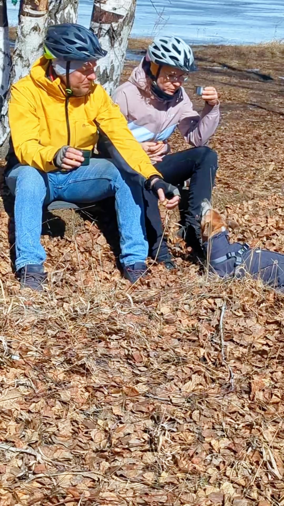 Велопрогулка с собакой в ВЕЛОКРЕСЛЕ