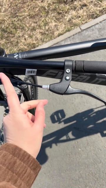 Велосипед горный EVERLIT 26