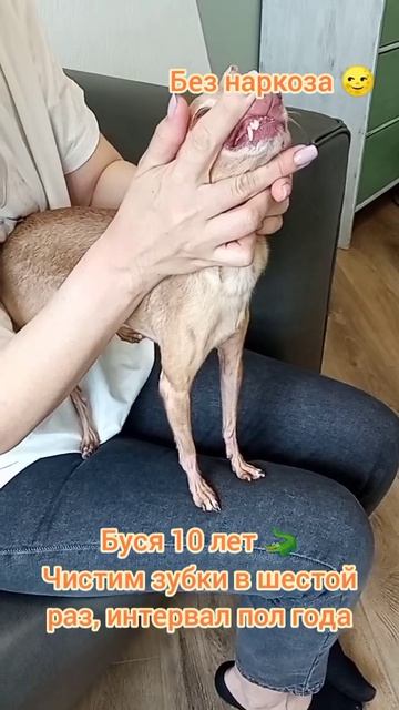 Буся 10 лет  Чистим зубки в шестой раз интервал пол года