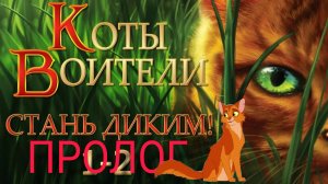 Кооы воители пролог стань диким 🐈⬛