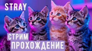 Stray. Проходим игру в прямом эфире. Присоединяйся.