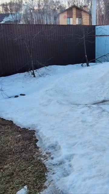 Один день жизни загородного жителя | VLOG #3 - повседневные дела и приятная радость победы