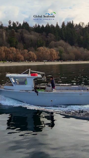 Сезон ловли краба Дангенесс — это настоящий адреналин на воде.