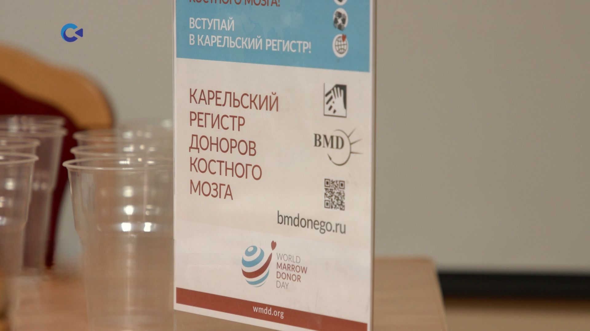 «Время волонтёров» | Карельский регистр доноров костного мозга