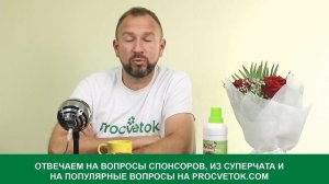 Севооборот, сидераты, оздоровление почвы