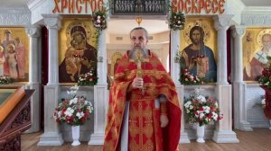 Зачем Бог посылает боль? Проповедь в Светлый Пяток | Протоиерей Игорь Бачинин